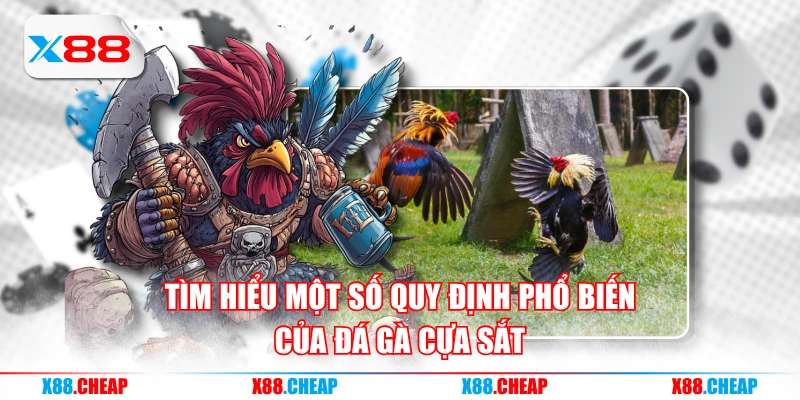 Tìm hiểu một số quy định phổ biến của đá gà cựa sắt